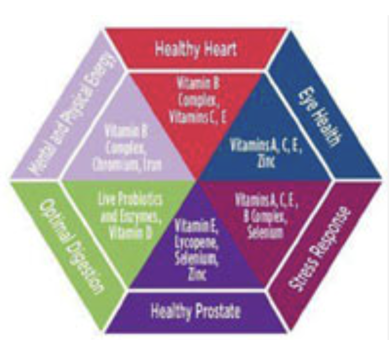Restorative Medicine